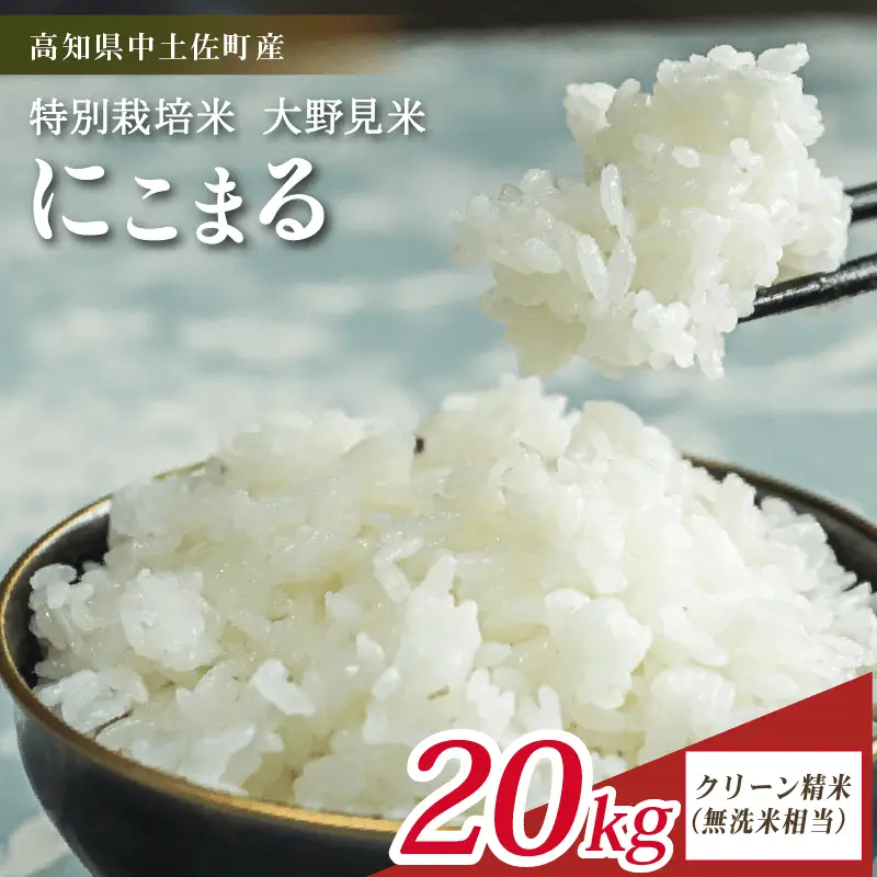 【令和8年産】【新米】  にこまる 20kg 無洗米 相当 大野見米