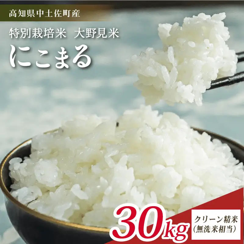 【令和8年産】【新米】  にこまる 30kg 無洗米 相当 大野見米