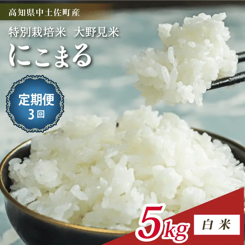 【定期便3回】特別栽培 大野見米 にこまる 5kg 白米