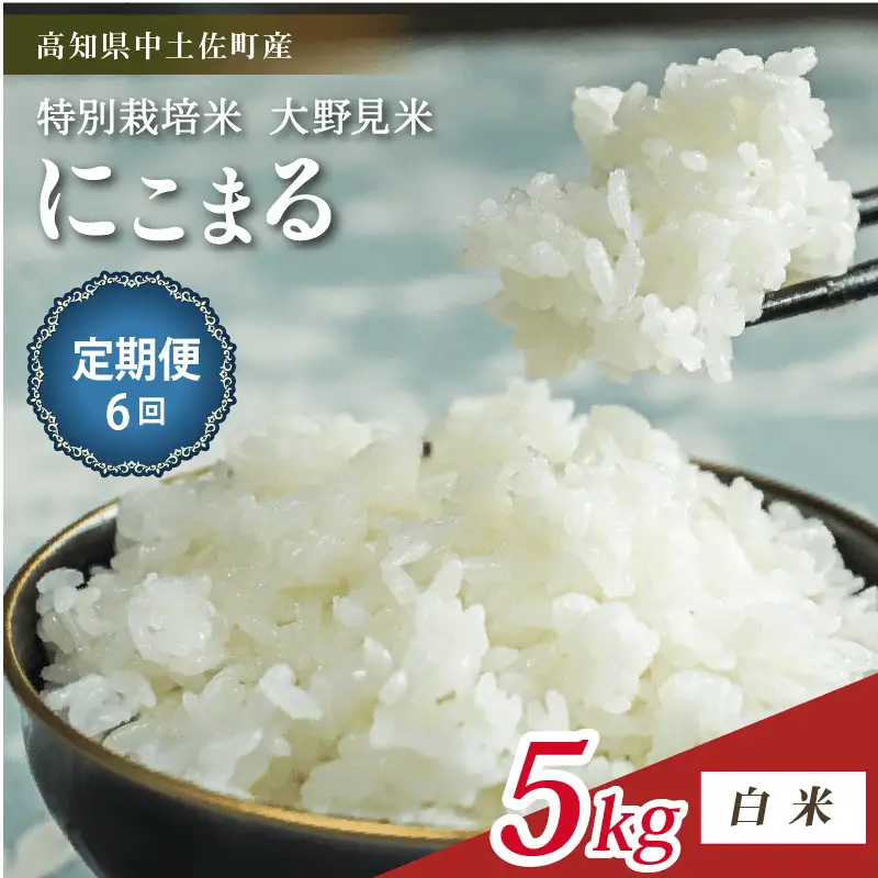 【定期便6回】特別栽培 大野見米 にこまる 5kg 白米