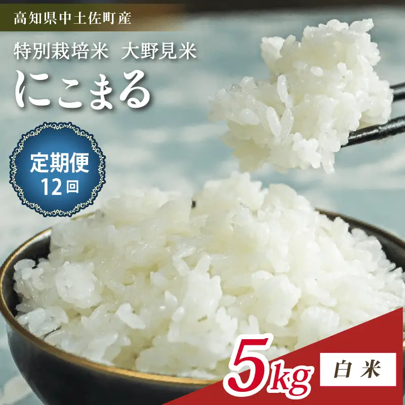 【定期便12回】特別栽培 大野見米 にこまる 5kg 白米
