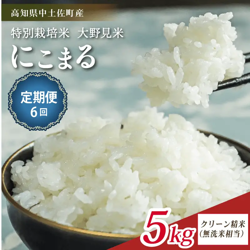 【定期便6回】【新米】  にこまる 5kg 無洗米 相当 大野見米