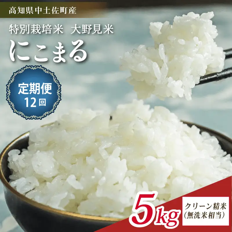 【定期便12回】【新米】  にこまる 5kg 無洗米 相当 大野見米