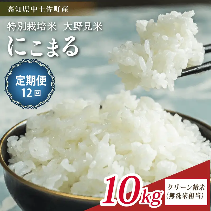 【定期便12回】【新米】 にこまる 10kg 無洗米 相当 大野見米