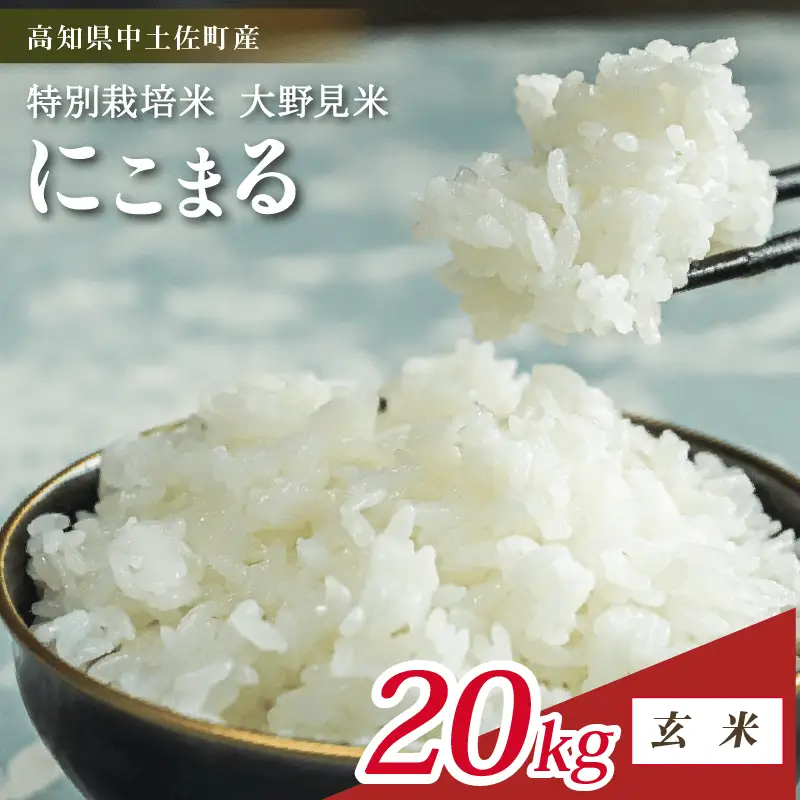 【令和8年産】【新米】玄米  にこまる 20kg　大野見米