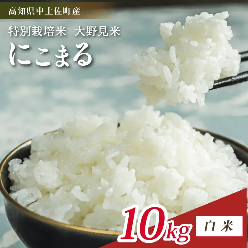【令和8年産】【新米】白米  にこまる 10kg　大野見米
