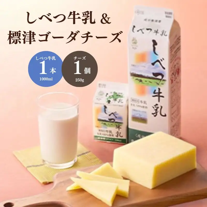 北海道産 牛乳 チーズ 詰め合わせ 【AE】乳製品詰め合わせ