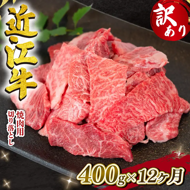 【12ヶ月定期便】 E505 焼肉切落し400g