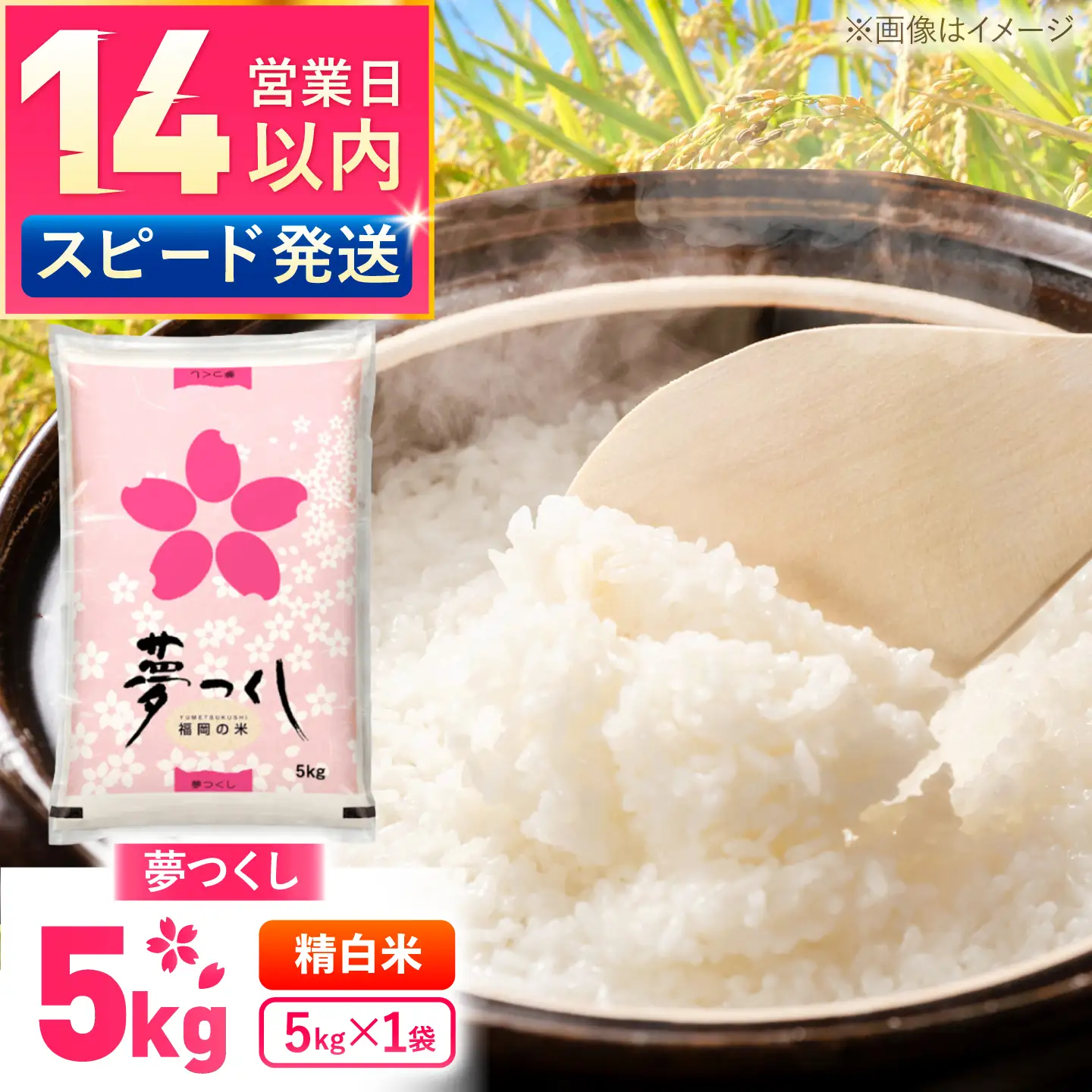 夢つくし精米5kg《築上町》【酒見食品工業株式会社】 米 こめ 白米[ABER001]