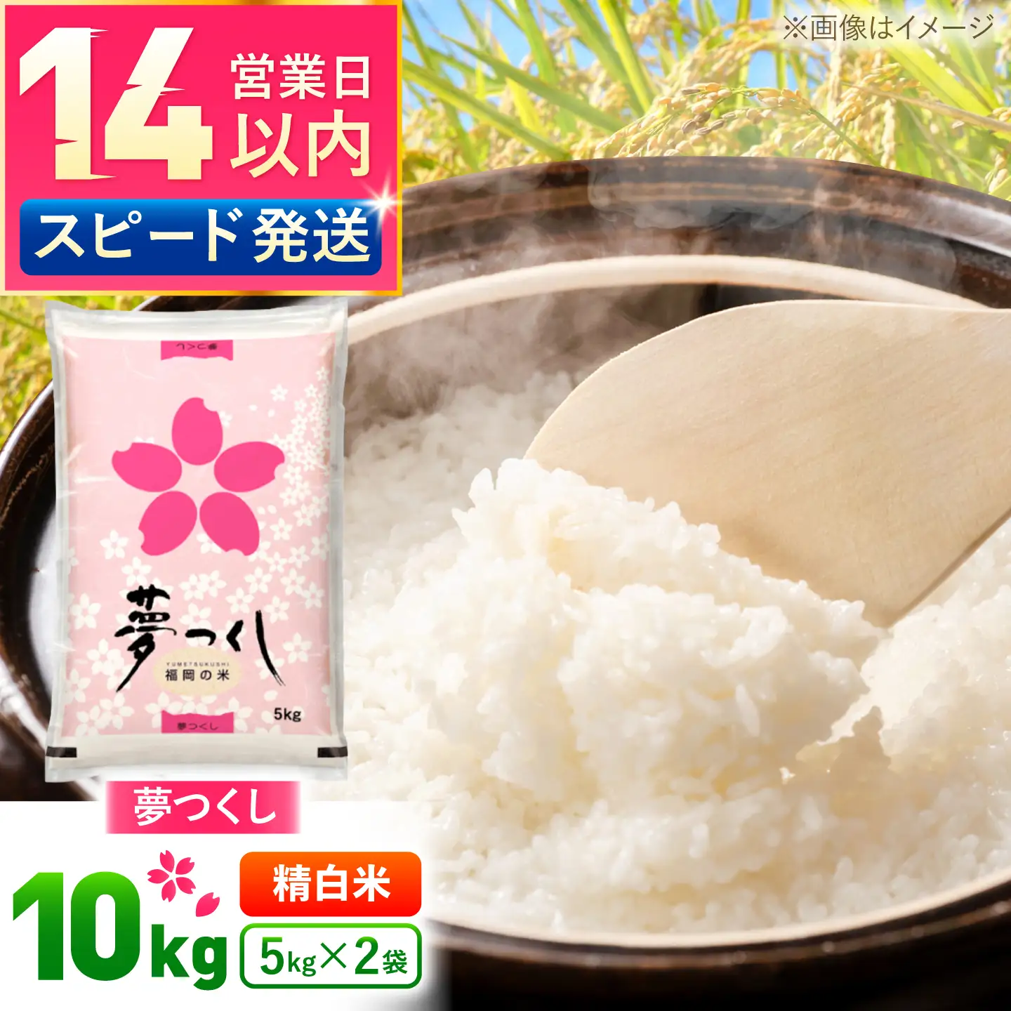 夢つくし精米10kg《築上町》【酒見食品工業株式会社】 米 こめ 白米[ABER002]