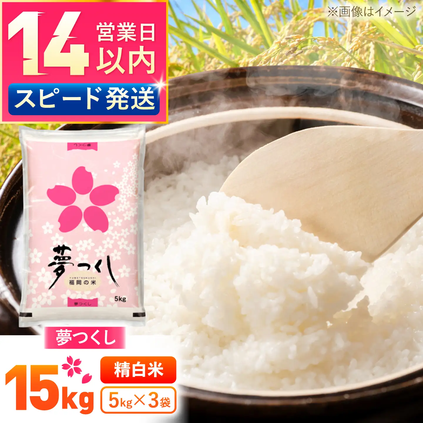 夢つくし精米15kg《築上町》【酒見食品工業株式会社】 米 こめ 白米[ABER003]