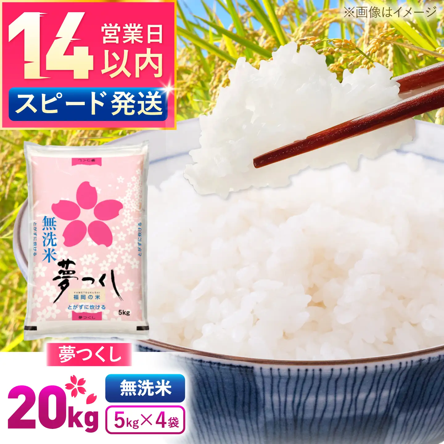 夢つくし無洗米20kg《築上町》【酒見食品工業株式会社】 米 こめ 無洗米[ABER008]