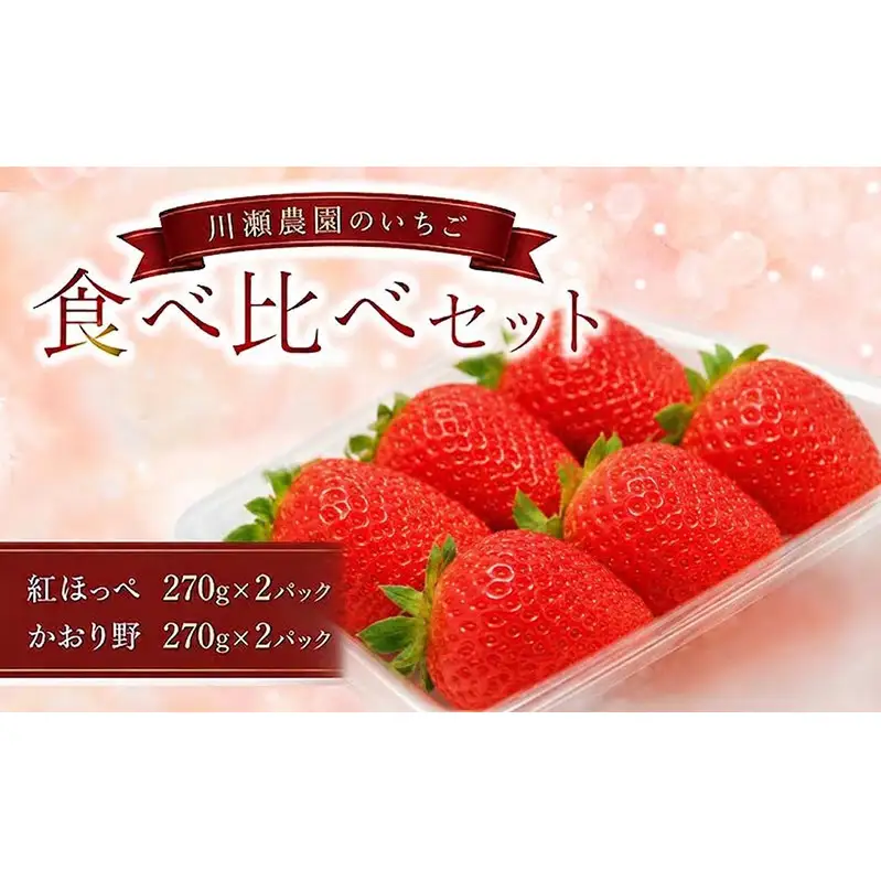 川瀬農園のいちご食べ比べセット 4パック | 滋賀県米原市 | ふるさと