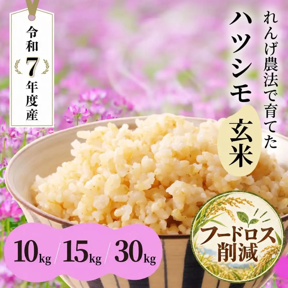 玄米 R7年産 30kg（10kg×3袋）  ハツシモ｜玄米