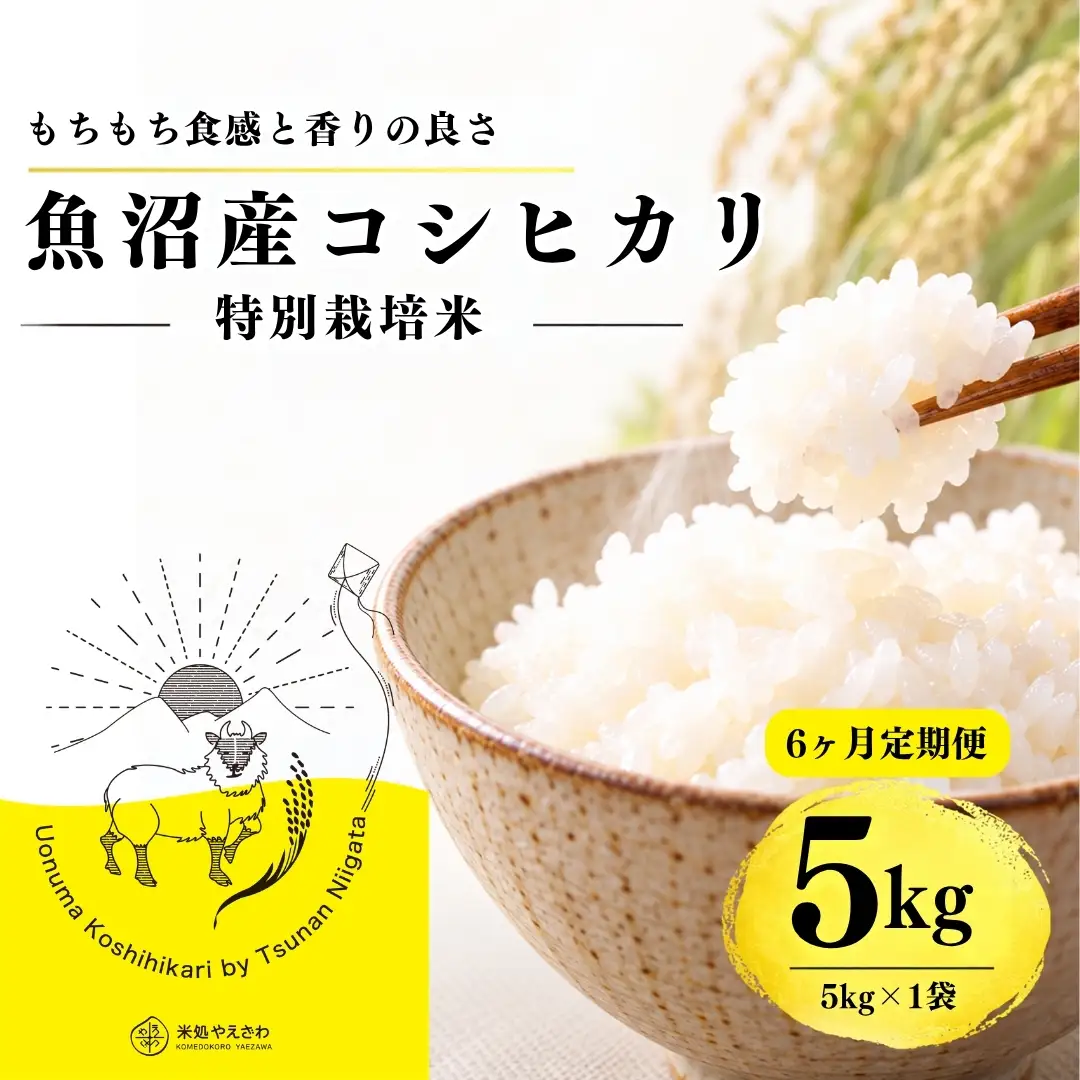 【6ヶ月定期便】【令和8年産 コシヒカリ】魚沼産コシヒカリ 特別栽培米 5kg(5kg×1袋) | 新潟県産コシヒカリ 魚沼産こしひかり 米 お米 こしひかり 白米 精米 ブランド米 津南町 米処やえざわ