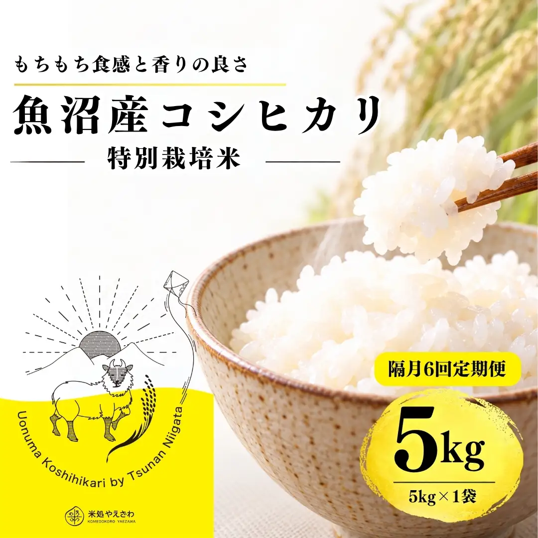 【隔月全6回 定期便】【令和8年産 コシヒカリ】魚沼産コシヒカリ 特別栽培米 5kg(5kg×1袋) | 新潟県産コシヒカリ 魚沼産こしひかり 米 お米 こしひかり 白米 精米 ブランド米 津南町 米処やえざわ