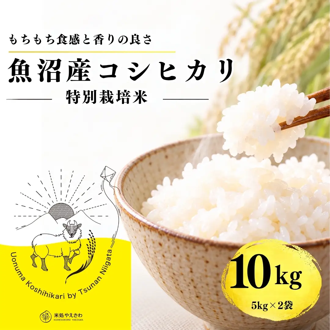 【令和8年産 コシヒカリ】魚沼産コシヒカリ 特別栽培米 10kg(5kg×2袋) | 新潟県産コシヒカリ 魚沼産こしひかり 米 お米 こしひかり 白米 精米 ブランド米 津南町 米処やえざわ