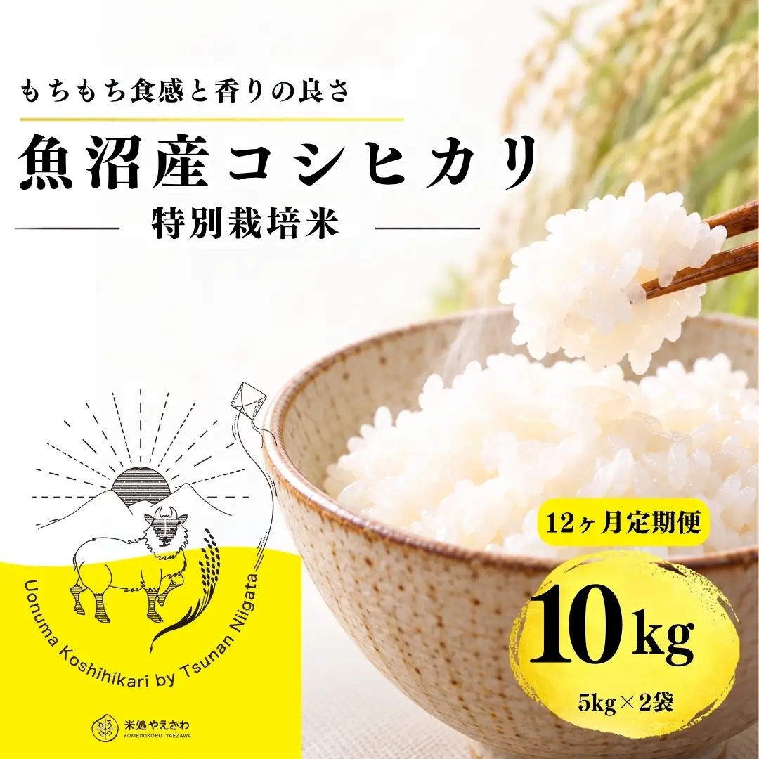 【12ヶ月定期便】【令和8年産 コシヒカリ】魚沼産コシヒカリ 特別栽培米 10kg(5kg×2袋) | 新潟県産コシヒカリ 魚沼産こしひかり 米 お米 こしひかり 白米 精米 ブランド米 津南町 米処やえざわ