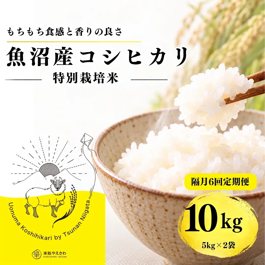 【隔月全6回 定期便】【令和8年産 コシヒカリ】魚沼産コシヒカリ 特別栽培米 10kg(5kg×2袋) | 新潟県産コシヒカリ 魚沼産こしひかり 米 お米 こしひかり 白米 精米 ブランド米 津南町 米処やえざわ