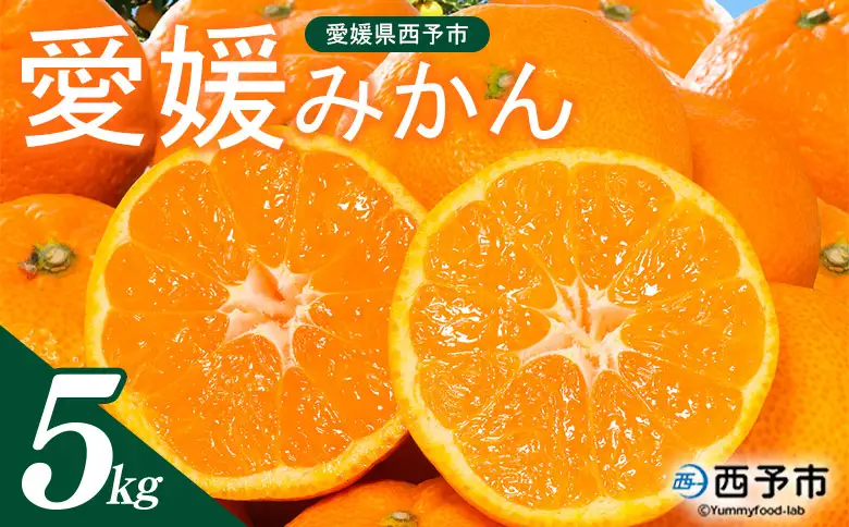 ＜西宇和地区西予産 愛媛みかん 約5kg＞『2026年11月以降順次出荷予定』温州みかん ミカン 蜜柑 フレッシュ 愛媛県産 果肉 果物 柑橘 フルーツ オレンジ 国産 濃厚 産地直送 ミヤモトオレンジガーデン 愛媛県 西予市【常温】ONM0046