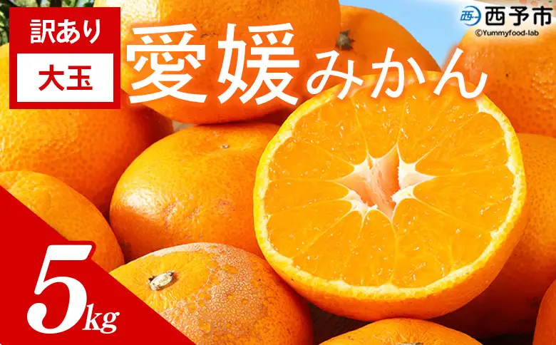 ＜訳あり 大玉 愛媛みかん 合計約5kg＞ 『2026年11月以降順次出荷予定』温州 みかん フレッシュ ご家庭用 ご自宅 蜜柑 愛媛県産 果肉 お試し 果物 柑橘 フルーツ オレンジ 国産 産地直送 ミヤモトオレンジガーデン 愛媛県 西予市【常温】ONM0048