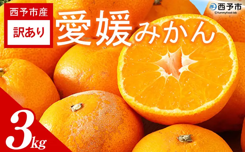 ＜訳あり 愛媛みかん 約3kg＞『2026年11月以降順次出荷予定』温州 みかん フレッシュ ご家庭用 ご自宅 蜜柑 愛媛県産 キロ 果肉 果物 柑橘 フルーツ オレンジ 国産 濃厚 産地直送 ミヤモトオレンジガーデン 愛媛県 西予市【常温】ONM0050