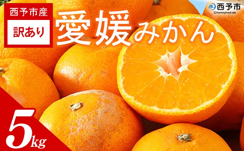 ＜訳あり 愛媛みかん 約5kg＞『2026年11月以降順次出荷予定』温州 みかん フレッシュ ご家庭用 ご自宅 蜜柑 愛媛県産 キロ 果肉 果物 柑橘 フルーツ オレンジ 国産 濃厚 産地直送 ミヤモトオレンジガーデン 愛媛県 西予市【常温】ONM0051