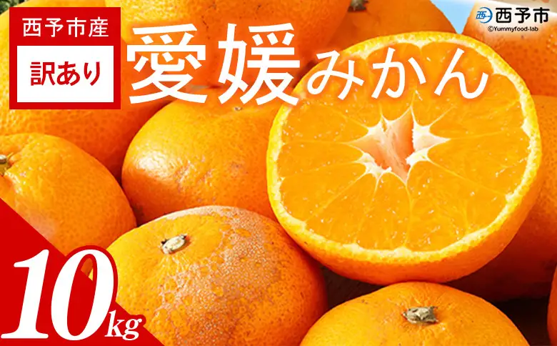 ＜訳あり 愛媛みかん 約10kg＞『2026年11月以降順次出荷予定』温州 みかん フレッシュ ご家庭用 ご自宅 蜜柑 愛媛県産 キロ 果肉 果物 柑橘 フルーツ オレンジ 国産 濃厚 産地直送 ミヤモトオレンジガーデン 愛媛県 西予市【常温】ONM0053