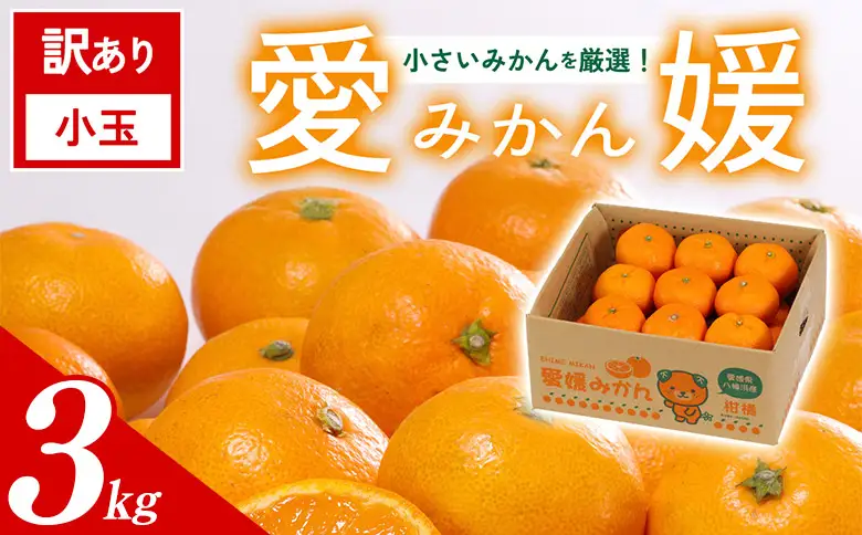 ＜訳あり 愛媛県産 小玉みかん 約3kg＞ 『2026年11月以降順次出荷予定』 甘さ凝縮 フレッシュ ご家庭用 ご自宅 蜜柑 果肉 お試し 果物 柑橘 フルーツ オレンジ 国産 濃厚 果汁 産地直送 ミヤモトオレンジガーデン 愛媛県 西予市【常温】ONM0054