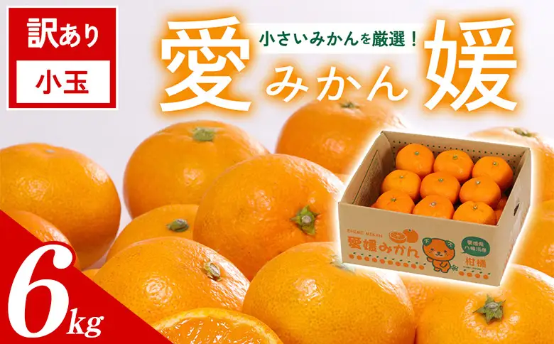 ＜訳あり 愛媛県産 小玉みかん 約6kg＞ 『2026年11月以降順次出荷予定』 甘さ凝縮 フレッシュ ご家庭用 ご自宅 蜜柑 果肉 お試し 果物 柑橘 フルーツ オレンジ 国産 濃厚 果汁 産地直送 ミヤモトオレンジガーデン 愛媛県 西予市【常温】ONM0055