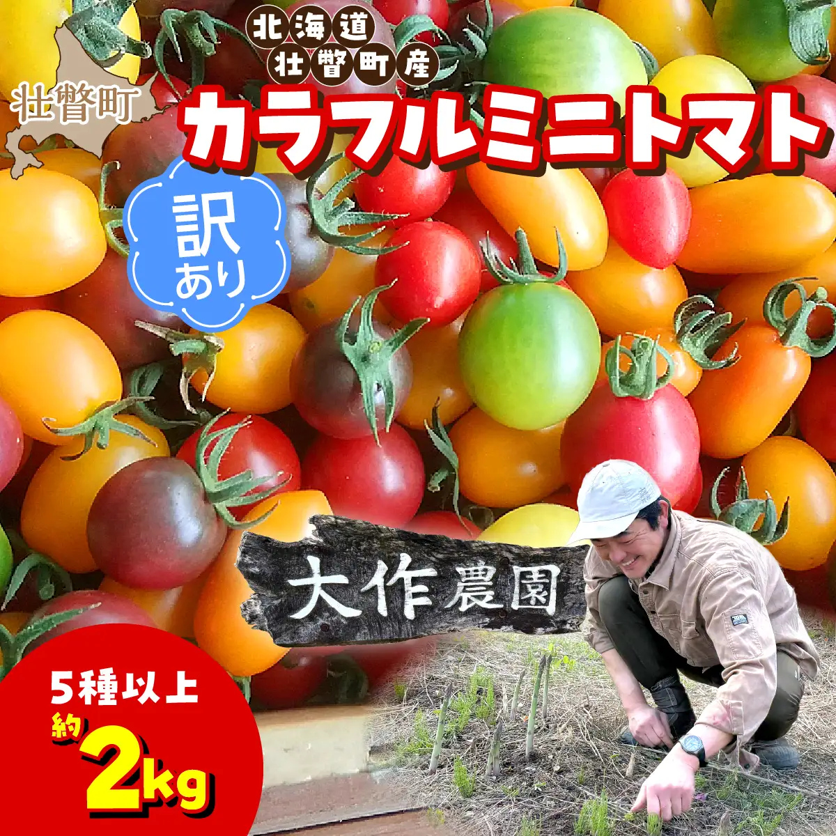 【2027年7月より発送】【訳あり】カラフルミニトマト約2kg(5種以上) 大作農園 北海道壮瞥町 SBTR013