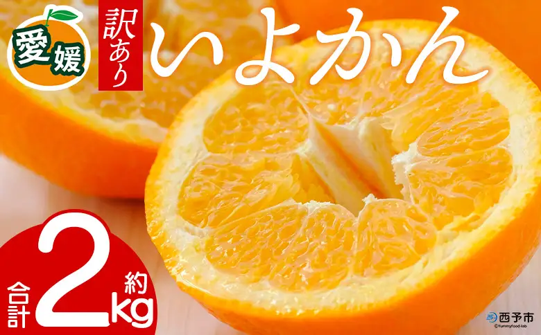 先行予約＜訳あり 愛媛県産 いよかん 合計約2kg＞ 『2027年1月以降順次出荷予定』 みかん フレッシュ ご家庭用 ご自宅 伊予柑 果肉 お試し 果物 柑橘 フルーツ オレンジ 国産 濃厚 果汁 産地直送 ミヤモトオレンジガーデン 愛媛県 西予市【常温】ONM0023