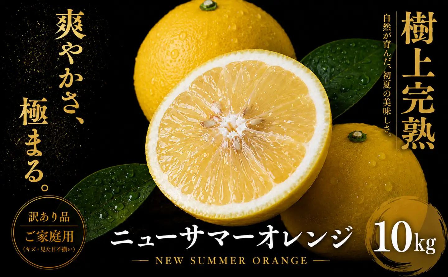 ＜涼やかな柑橘 愛媛県産ニューサマーオレンジ 合計約10kg＞『2027年4月中旬～5月中旬迄に順次出荷予定』訳あり ミカン 蜜柑 ご家庭用 果汁 果物 くだもの フルーツ オレンジ 柑橘 人気柑橘 特産品 極尽道 愛媛県 西予市 【常温】OKS0008