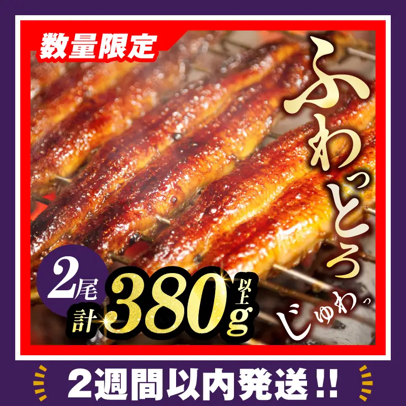 【2週間以内発送】うなぎ蒲焼特大2尾(さんしょう・たれ付き)計380g以上 鰻 魚 魚介 加工品 国産_T026-0065-2W