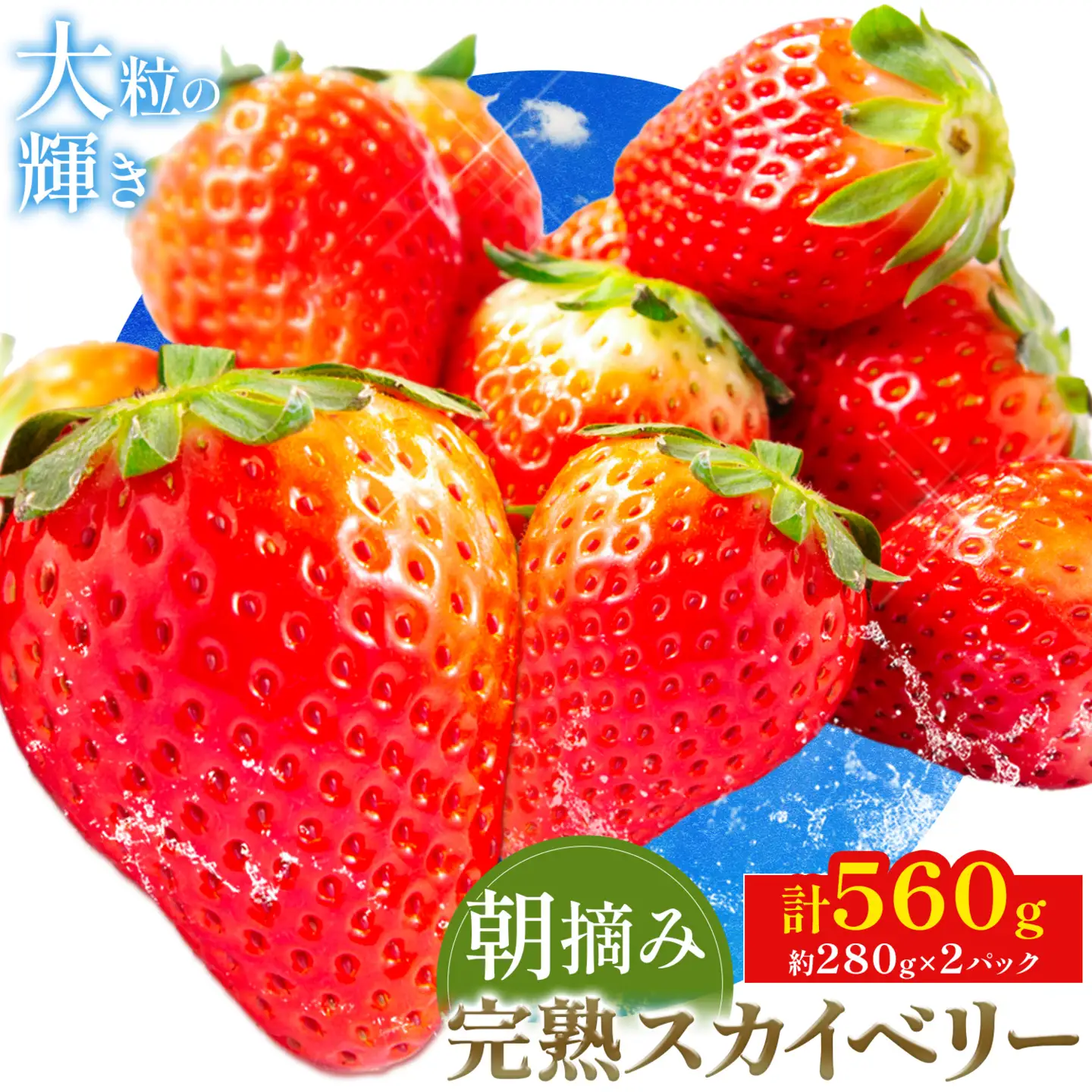 完熟 朝摘み スカイベリー 約280g 2パック 計560g 澳原いちご農園