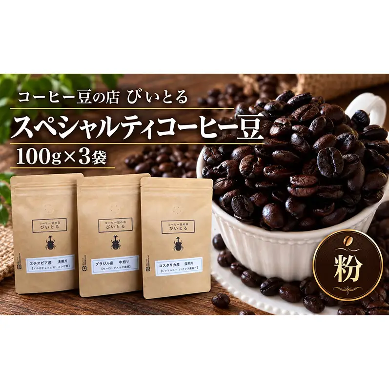 スペシャルティコーヒー豆 (100g×3袋)自家焙煎※浅～深煎り３カ国の豆の組合せセット【粉に挽いて袋入り】【郵便受けへのポスト投函でお届けする商品】