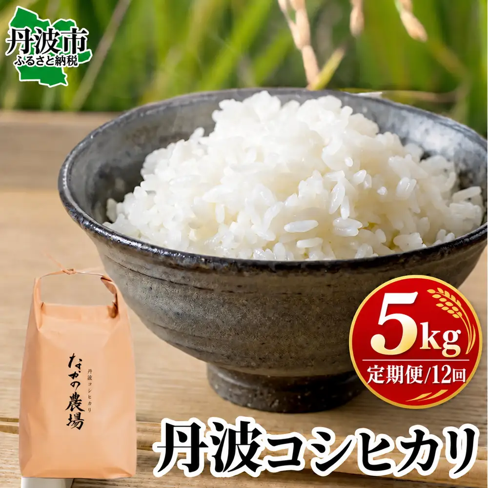 【全12回定期便】コシヒカリ 白米 5kg 令和8年産 コシヒカリ