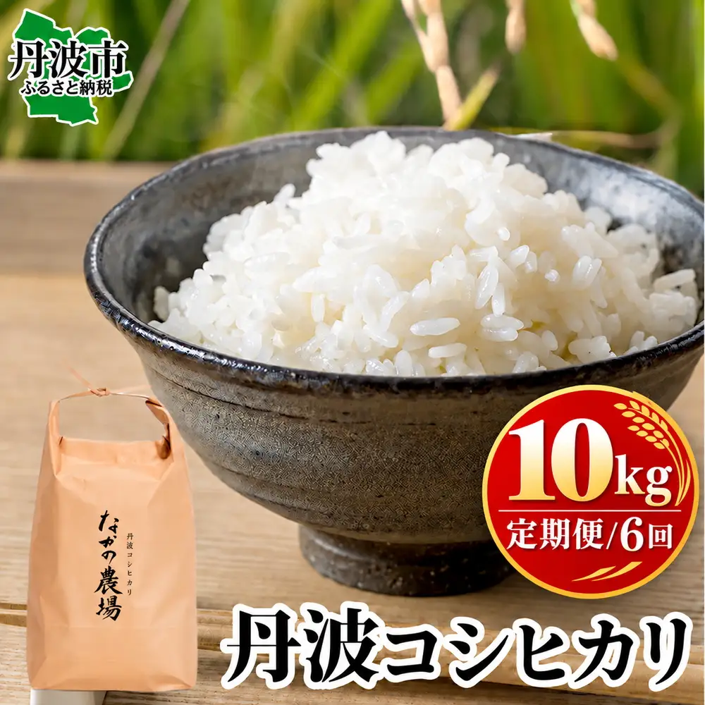 【全6回定期便】コシヒカリ 白米 10kg 令和8年産 コシヒカリ