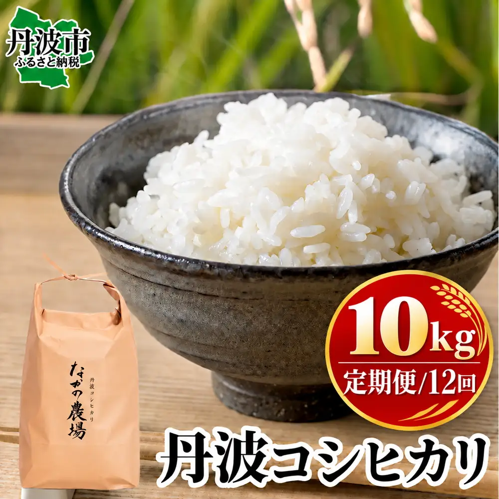 【全12回定期便】コシヒカリ 白米 10kg 令和8年産 コシヒカリ