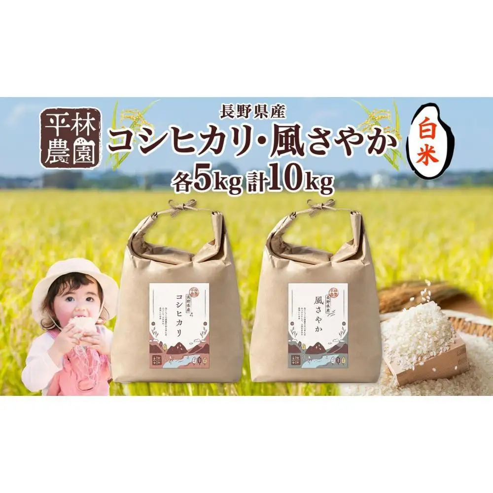 【2026年10月発送】令和8年産 コシヒカリ 風さやか 白米 各5kg 長野県産 米 精米 お米 ごはん ライス 甘み 農家直送 産直 信州 人気 ギフト お取り寄せ 平林農園 送料無料 長野県 大町市