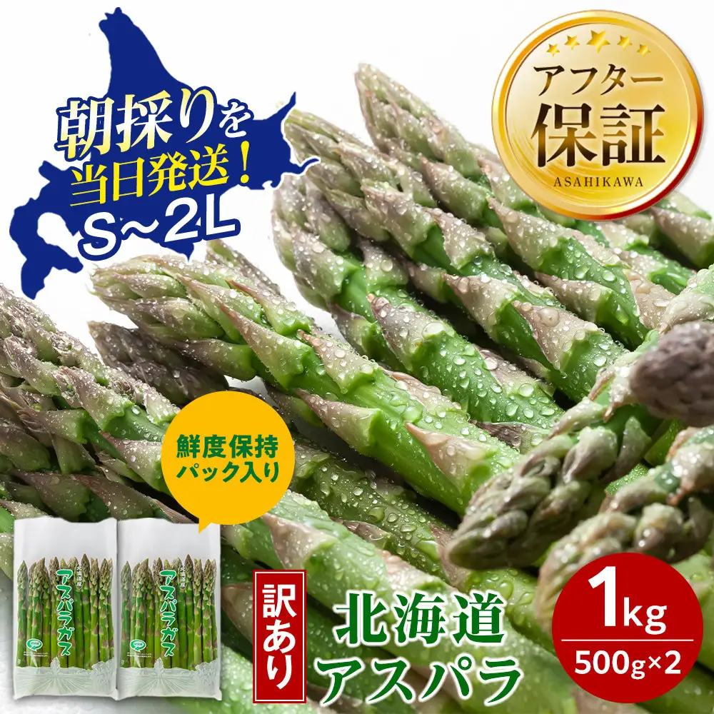 【先行予約】【訳あり】露地物朝採りアスパラ 1kg（500g×2）(2027年5月中旬発送開始) _06553
