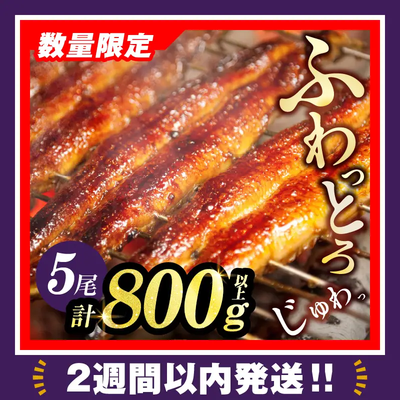【2週間以内発送】うなぎ蒲焼5尾(さんしょう・たれ付き)計800g以上 鰻 魚 魚介 加工品 国産_T026-0037-2W