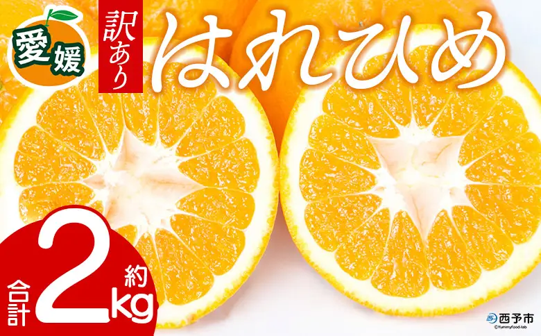 先行予約＜訳あり 愛媛県産 はれひめ 合計約2kg＞ 『2026年12月下旬以降順次出荷予定』 みかん フレッシュ ご家庭用 ご自宅 柔らか 果肉 お試し 果物 柑橘 フルーツ オレンジ 国産 産地直送 特産品 ミヤモトオレンジガーデン 愛媛県 西予市【常温】ONM0030