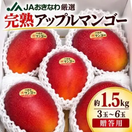 【2027年6月下旬から順次発送・贈答用】完熟アップルマンゴー約1.5kg(3玉～6玉)【配送不可地域：離島】【1783972】