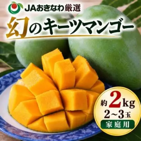 2027年8月中旬から順次発送・家庭用】幻のキーツマンゴー約2kg(2玉～3
