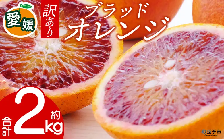 先行予約＜訳あり 愛媛県産 ブラッドオレンジ 合計約2kg＞ 『2027年2月以降順次出荷予定』タロッコ 希少 赤い みかん ご家庭用 ご自宅 蜜柑 果肉 果物 柑橘 フルーツ オレンジ 国産 濃厚 産地直送 ミヤモトオレンジガーデン 愛媛県 西予市【常温】ONM0031