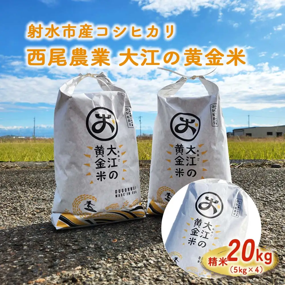 R8年米 大江の黄金米 コシヒカリ20kg（5kg×4） ｜ 射水市 西尾農業 黄金米 射水の美味しいお米 精米