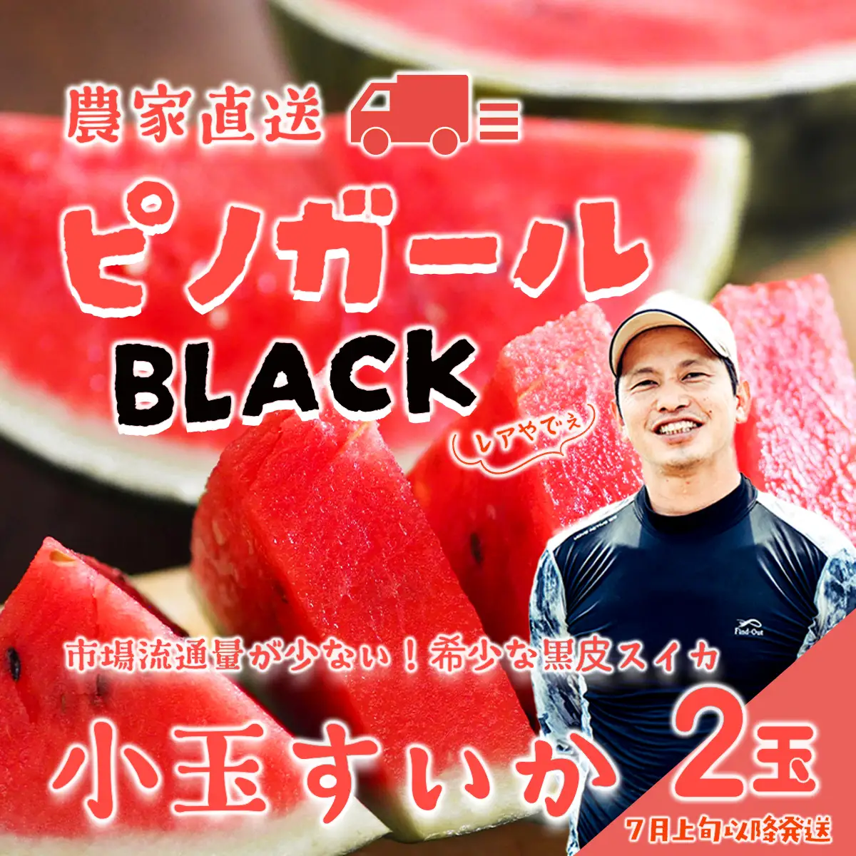 スイカ 黒皮 小玉スイカ ピノガールBLACK  2玉 2027年 大里農園