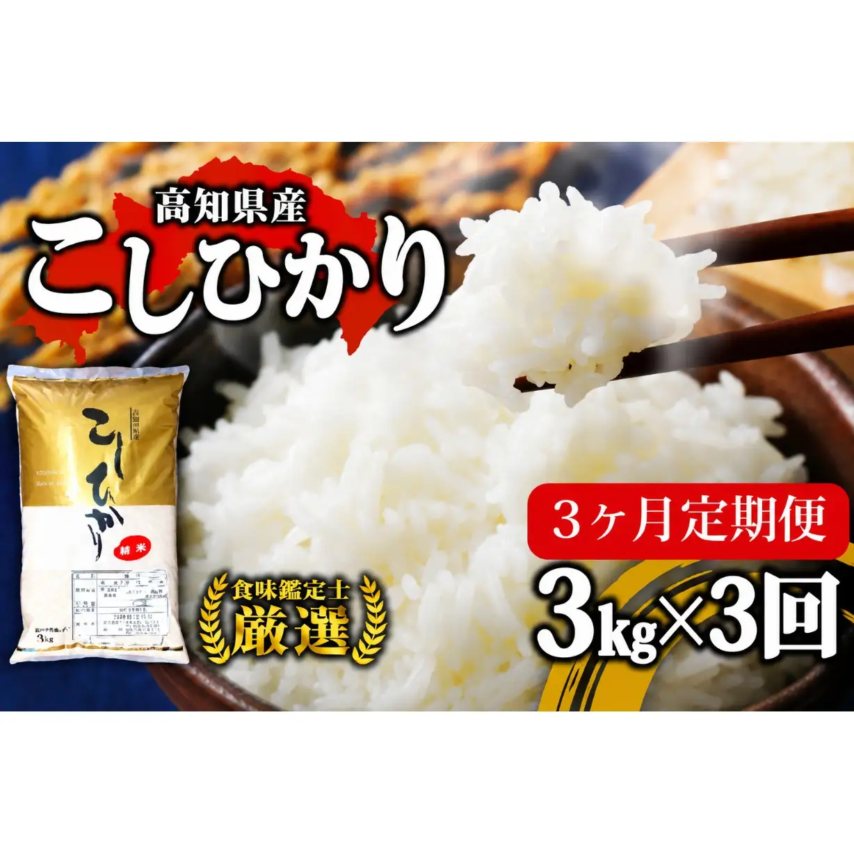 令和8年産 新米 コシヒカリ 定期便 3kg  3回 