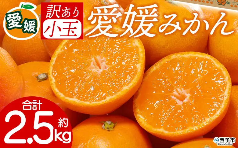 先行予約＜訳あり 愛媛県産 小玉みかん 合計約2.5kg＞ 『2026年11月以降順次出荷予定』 甘さ凝縮 フレッシュ ご家庭用 ご自宅 蜜柑 果肉 お試し 果物 柑橘 フルーツ オレンジ 国産 濃厚 果汁 産地直送 ミヤモトオレンジガーデン 愛媛県 西予市【常温】ONM0038